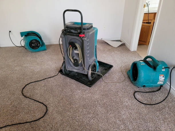 Best Flooded house restoration  in Burnet, TX