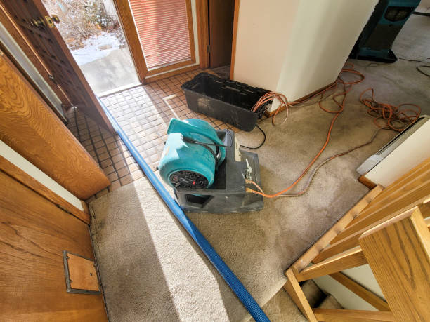 Best Commercial water damage restoration  in Burnet, TX