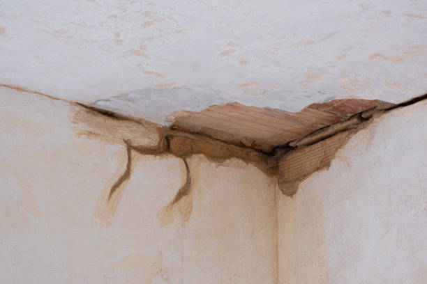 Best Flood damage cleanup  in Burnet, TX