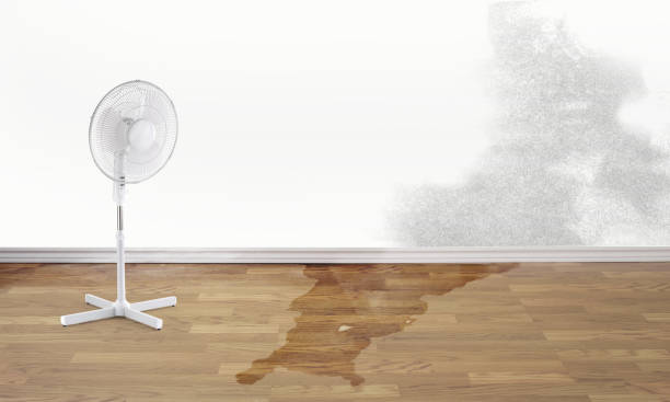 Water damage restoration experts in Burnet, TX