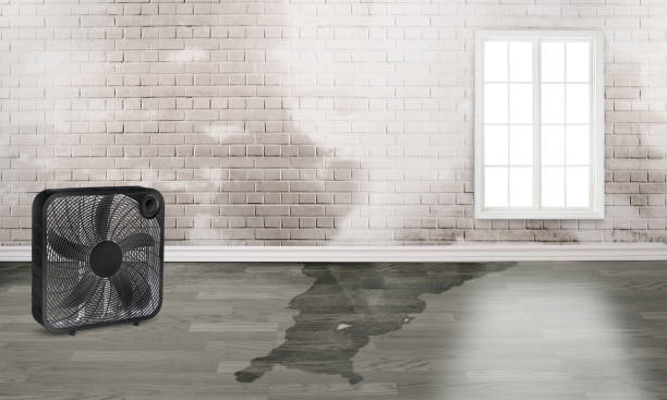 Best Flood damage cleanup  in Burnet, TX