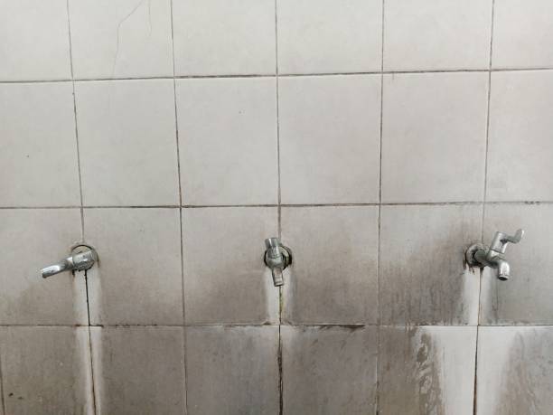 Best Carpet water damage restoration  in Burnet, TX
