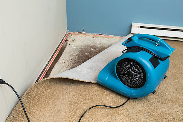 Best Water damage restoration experts  in Burnet, TX